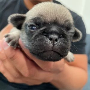 Meet your Posher, Christian